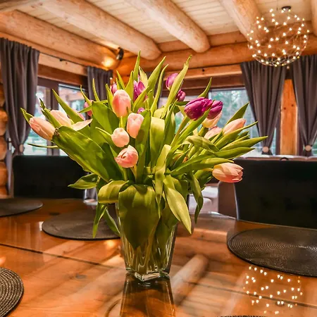 Grand * Доновалы