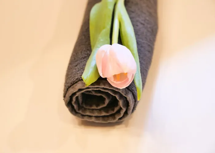 Alpehytte Grand Donovaly